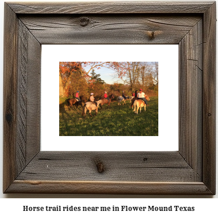 horse trail rides near me in Flower Mound, Texas